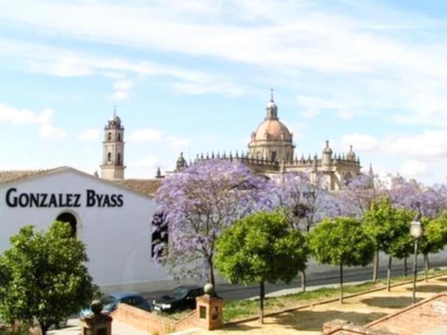 Apartamento Apartamento Loft Jerez Buleria Jerez de la Frontera Exterior foto